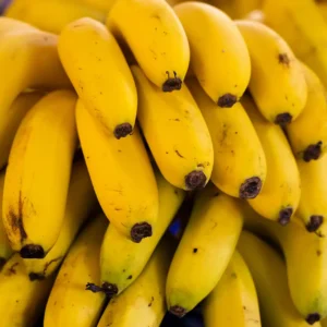 A bunch of fresh bananas