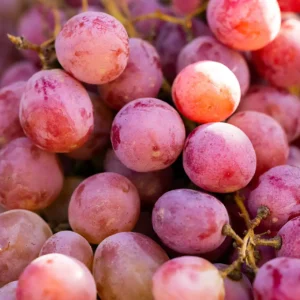 Delicious fresh grapes